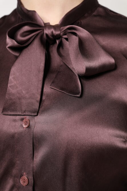 Brown Ascot Collar Long Sleeve Blouse Top - Image 6